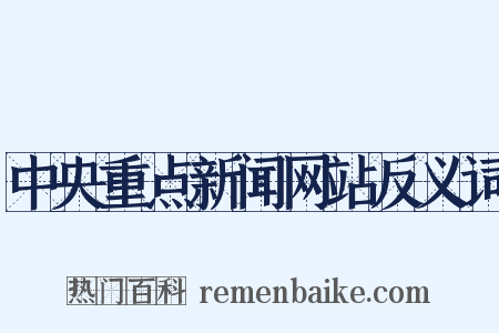 中央重点新闻网站反义词是什么意思的图片